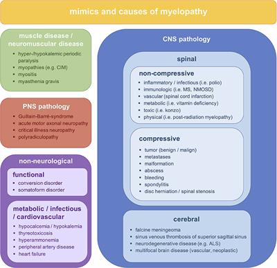 Clinical Presentation and Causes of Non-traumatic Spinal Cord Injury: An Observational Study in Emergency Patients